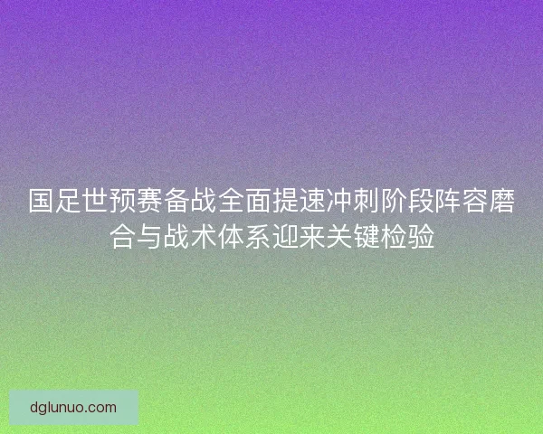 国足世预赛备战全面提速冲刺阶段阵容磨合与战术体系迎来关键检验
