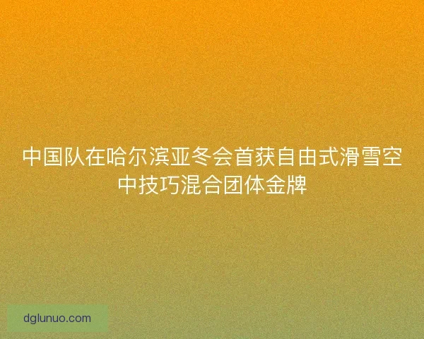 中国队在哈尔滨亚冬会首获自由式滑雪空中技巧混合团体金牌