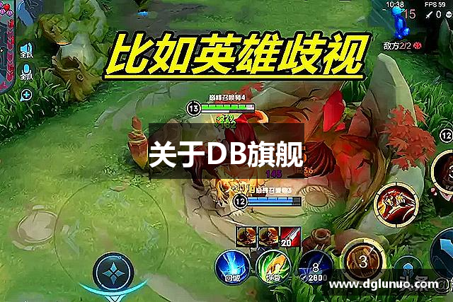 关于DB旗舰